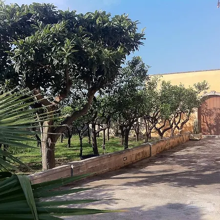 Monticelli Nociglia