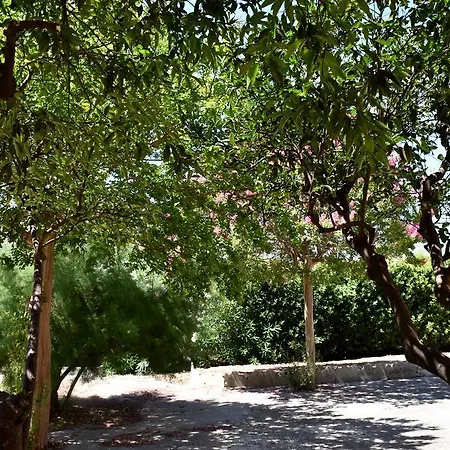Monticelli