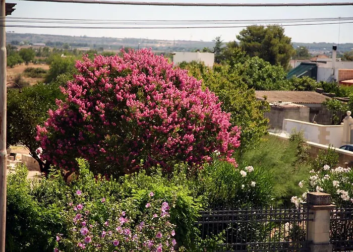 住宿加早餐酒店 Monticelli