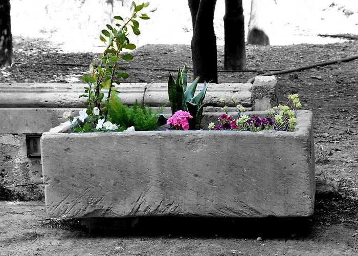 Monticelli 住宿加早餐酒店 *